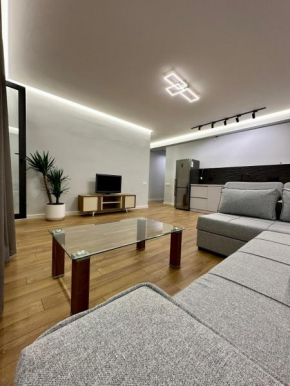 Beautiful Apartment in Tbilisi
